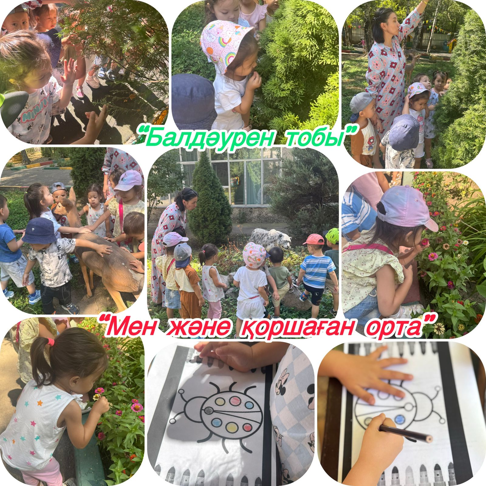 "Мен және қоршаған отра"